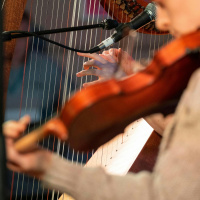 What’s behind the surge in trad music?