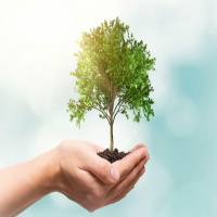 World Conservation Day