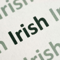 Is the model for Gaeilge in schools fit for purpose?