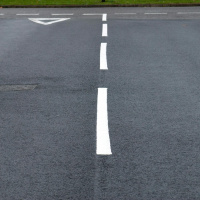 Calls for vehicular manslaughter laws