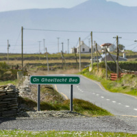 Should students studying Irish have a mandatory stay in the Gaeltacht?