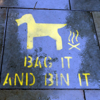 Has Kerry solved their dog fouling problem?