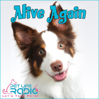 Alive Again - Episode 81 Animal Communication Exposed: Myths, Truths, and Frequency