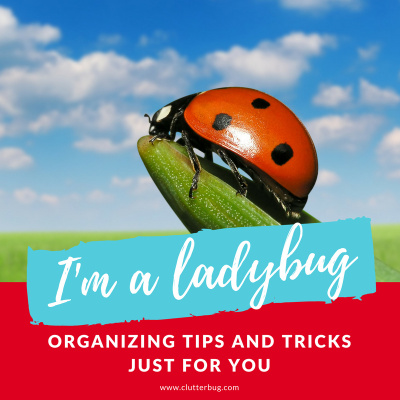 Clutterbug Podcast - Organize, Clean And Transform Your Home
