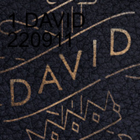 7 DAVID 221023