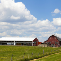 Farm Estate Planning - When Your Legacy Is The Land - Episode #08/15/20