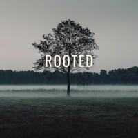 Meditating on the Word of God