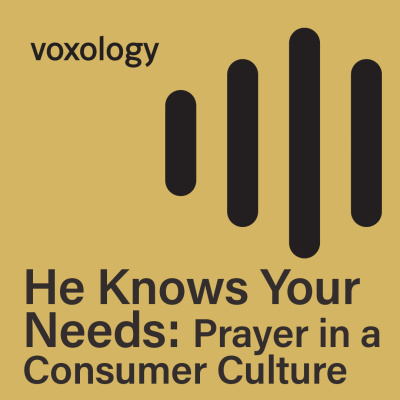 Vox Podcast With Mike Erre