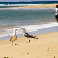 How to join a conversation