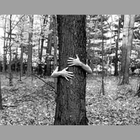 Medio ambiente y ecologismo: Conversacion en ingles