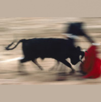 Corridas de toros y derechos de animales: Conversaciones Reales en Ingles