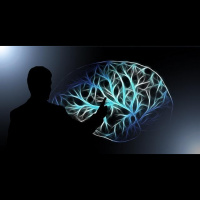 205: Innovating Pedagogy 2017 - Spaced Learning