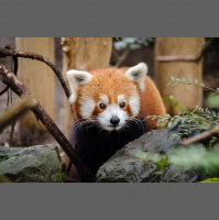 225: SE2 2019 Podcast for 5th April 2019