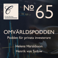 #65 Börsdrama – Analys av marknadsläget just nu!