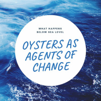 What Happens Below Sea Level: Oysters As Agents of Change | Sarah Matheson Harris  Catie Frech