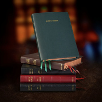 BIble spin study / solo / October 20th