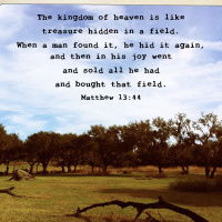 Matthew chapter 13 Nov 7th Lap 1