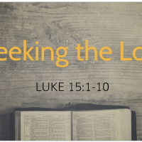 Luke chapter 15 / February 1st / 2024 / lap 1