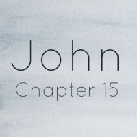 John chapter 15 / March 19th / lap 1