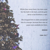 Luke chapter 2 Jan 9th / 2024 / lap 1