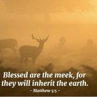 Matthew chapter 5 part 2 October 19th lap 1