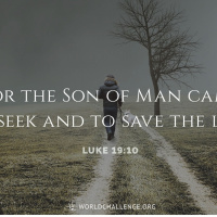 Luke chapter 19 / Feb 8th / 2024 / lap 1