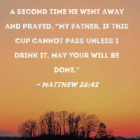 Matthew chapter 26 Dec 1st lap 1