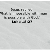 Luke chapter 18 / Feb 6th / 2024 / lap 1