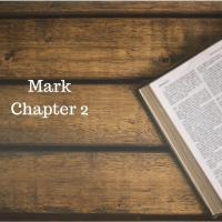 Mark chapter 2 Dec 13th lap 1