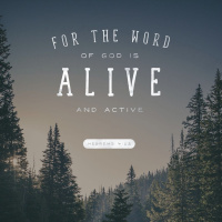 Matthew chapter 13 part 2 November 8th lap 1