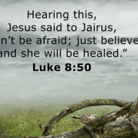 Luke chapter 8 / Jan 19th / 2024 / lap 1