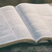 2nd Samuel chapter 14