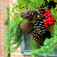 Live til Five - Thanksgiving and Christmas
