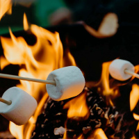 Live til Five - Summer Camp