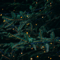 Live til Five - More Christmas