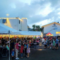 Harvest Time - Festival of Lights