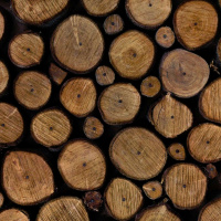 Live til Five - Randomness