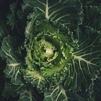 Live til Five - Leafy Greens