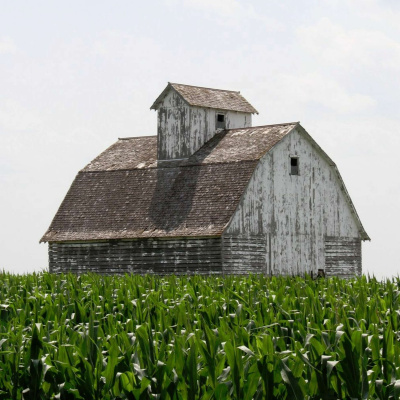 Latest: Harvest Family Radio