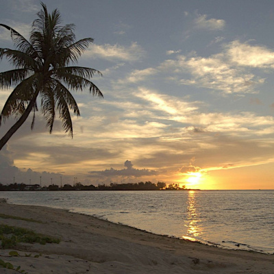 Latest: Harvest Family Radio