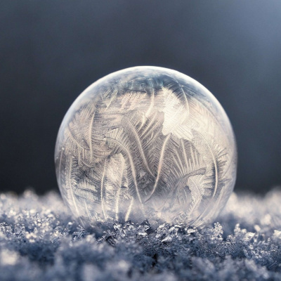 Latest: Harvest Family Radio