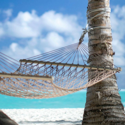 Latest: Harvest Family Radio