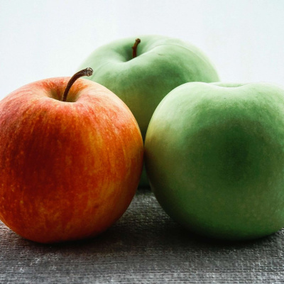 Latest: Harvest Family Radio