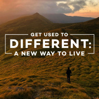 Dont Rush To Judgement