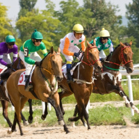 Episodio 104. Un día en las carreras. Juegos sobre carreras de caballos y apuestas.