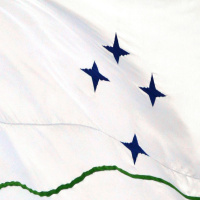 Mercosul em rediscussão