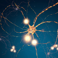 The nerve! Electricity in our bodies