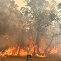 What causes wildfires?