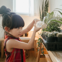 Do plants sleep?