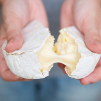 Like bread and cheese? Thank fungus!